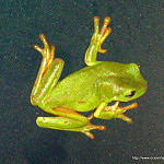 Thumbnail Photo for the Home Sweet Home Gallery.